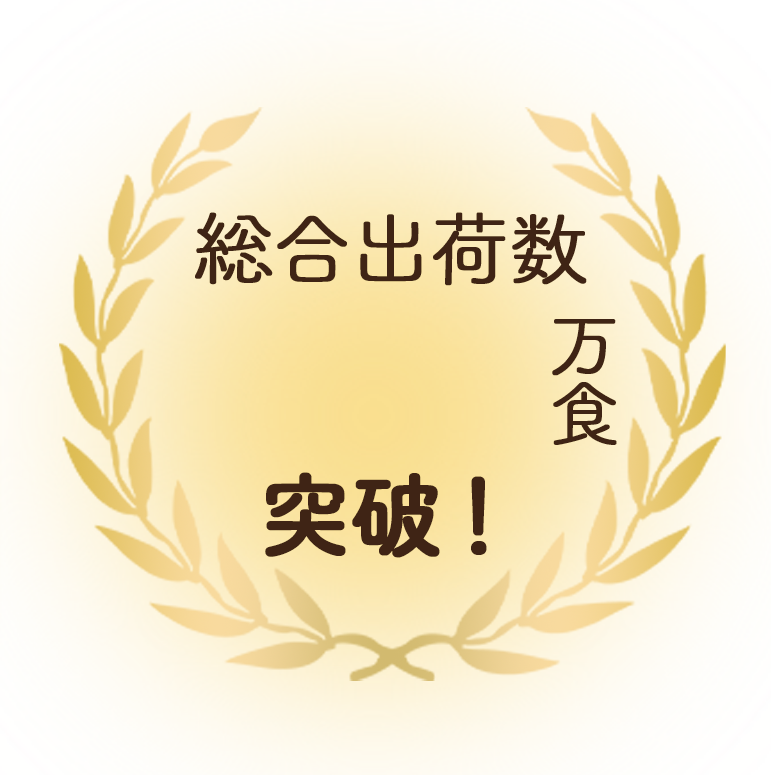 実績
