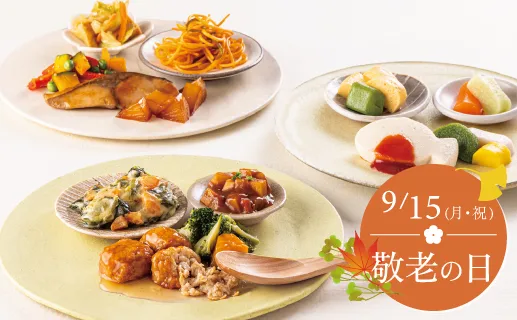 やわらか宅配食