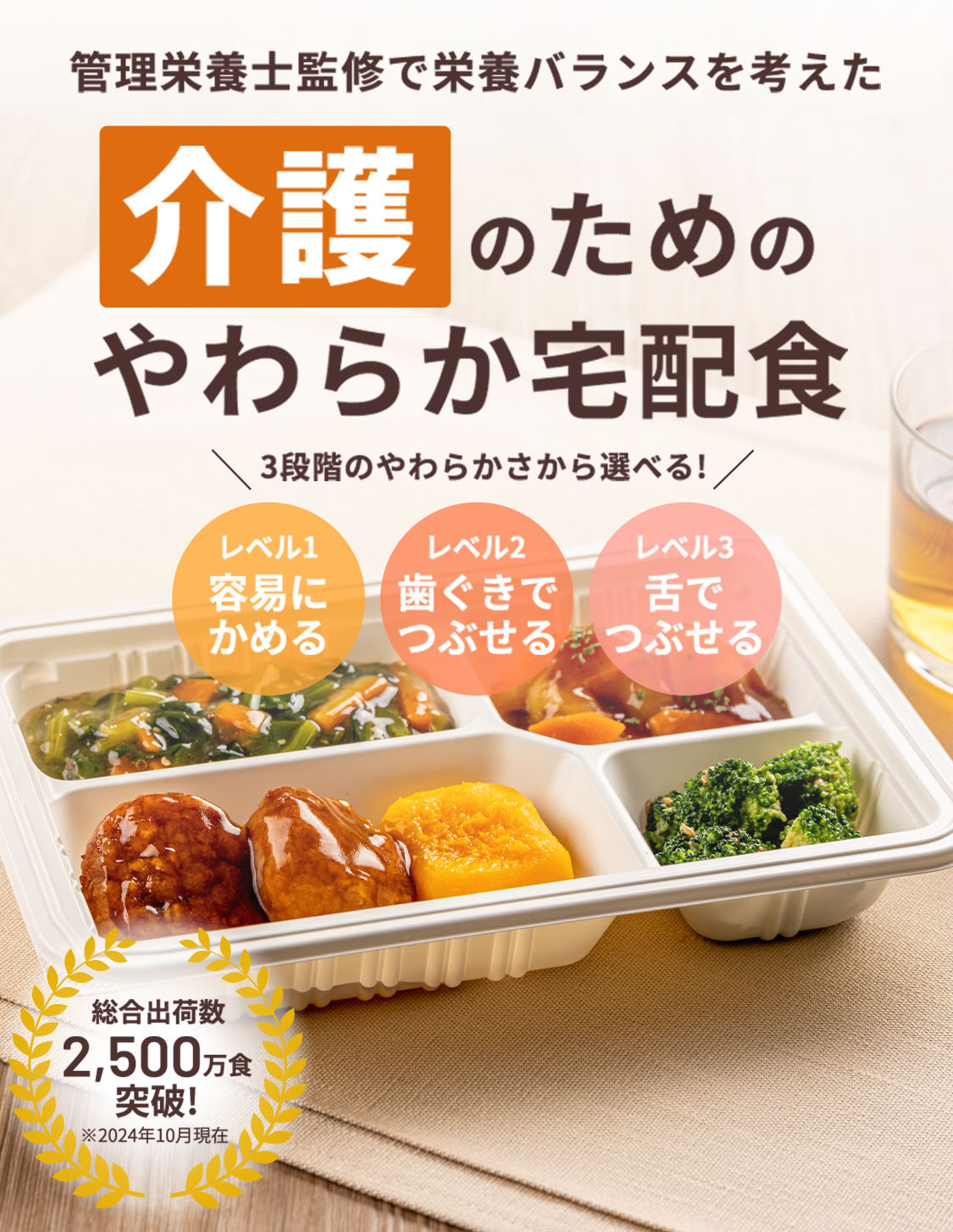 管理栄養士監修で栄養バランスを考えた 介護のためのやわらか宅配食