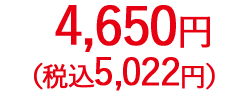 4,650円（税抜）