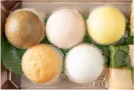 彩り五種の手毬寿司