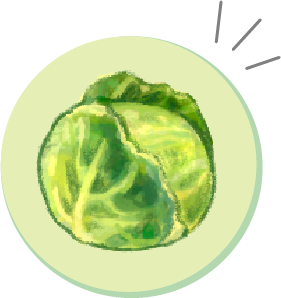 キャベツ