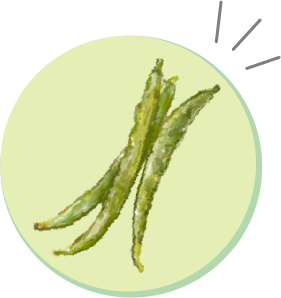 インゲン