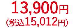 13,900円（税抜）