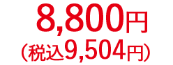 8,800円（税抜）