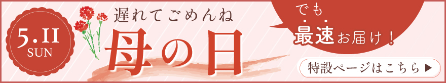 母の日の贈り物にも