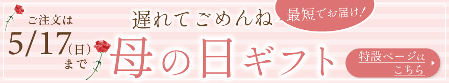 遅れてごめんね母の日